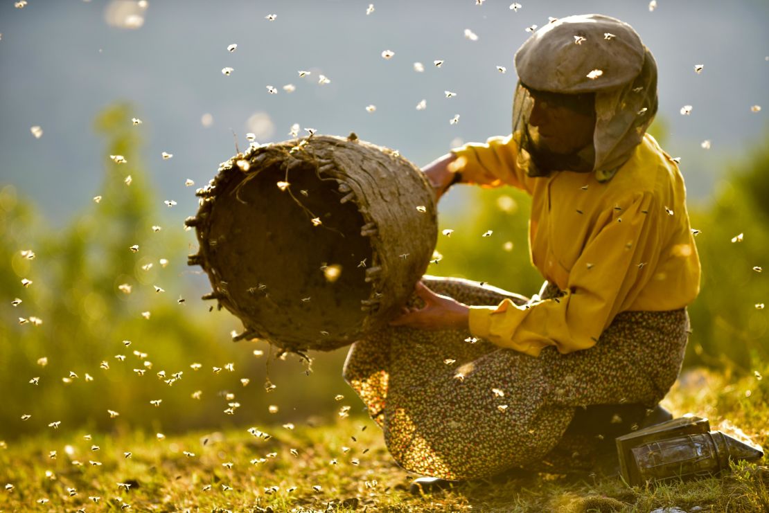Hatidze Muratova, the sustainable beekeeper at the heart of Macedonian documentary "Honeyland."