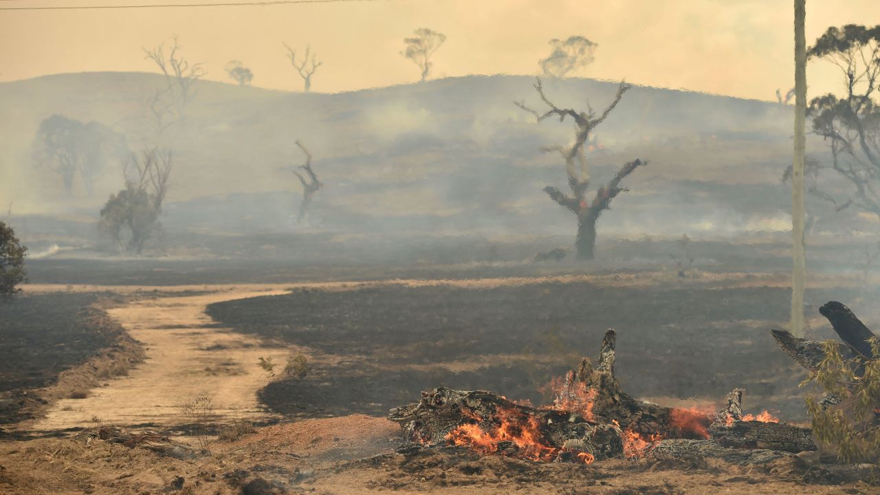 australia bushfires 0202