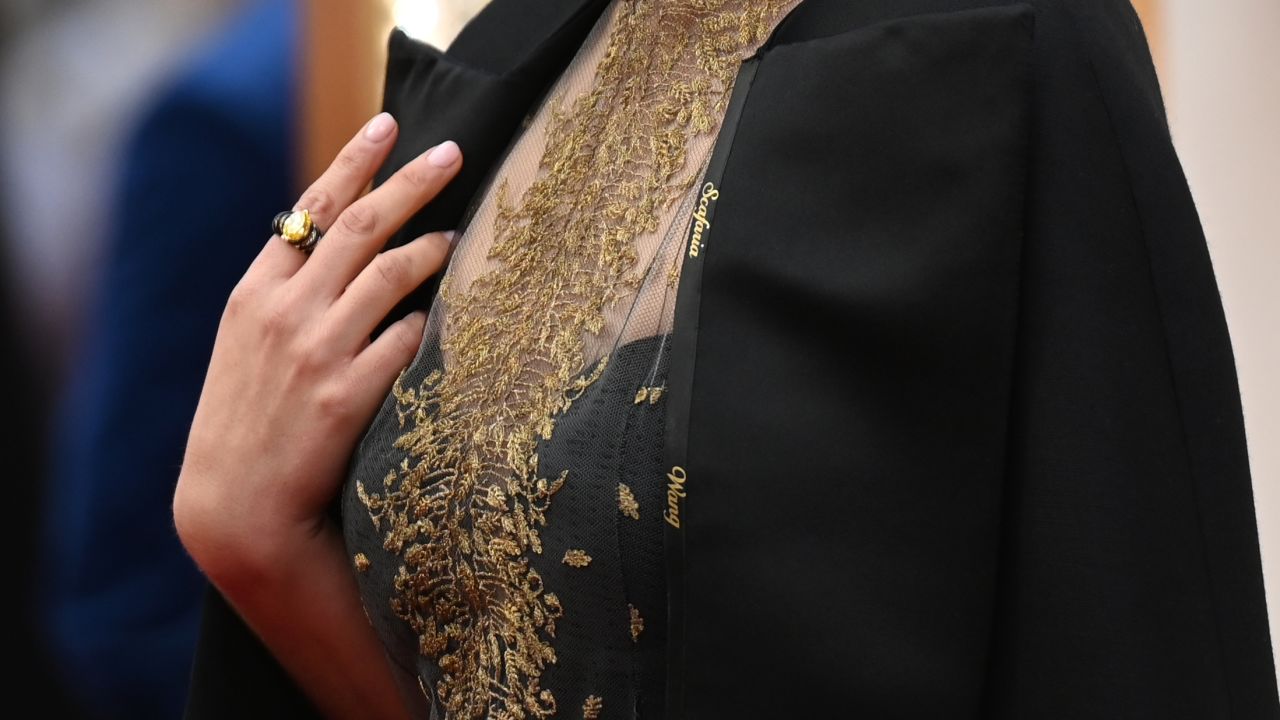 A close up shot of Natalie Portman's cape, embroidered with the names of female film directors who were not nominated for Oscars. (Photo by Robyn Beck / AFP) (Photo by ROBYN BECK/AFP via Getty Images)