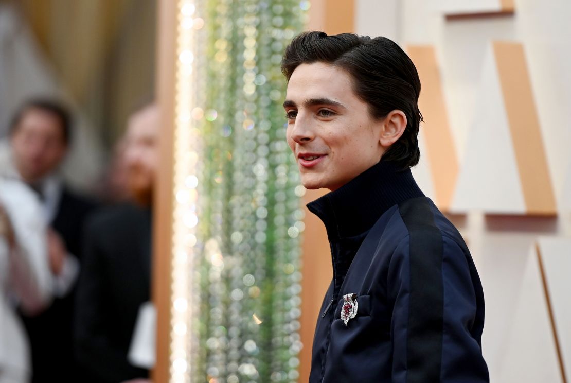 Timothée Chalamet took an uncharacteristically low-key approach to the red carpet.