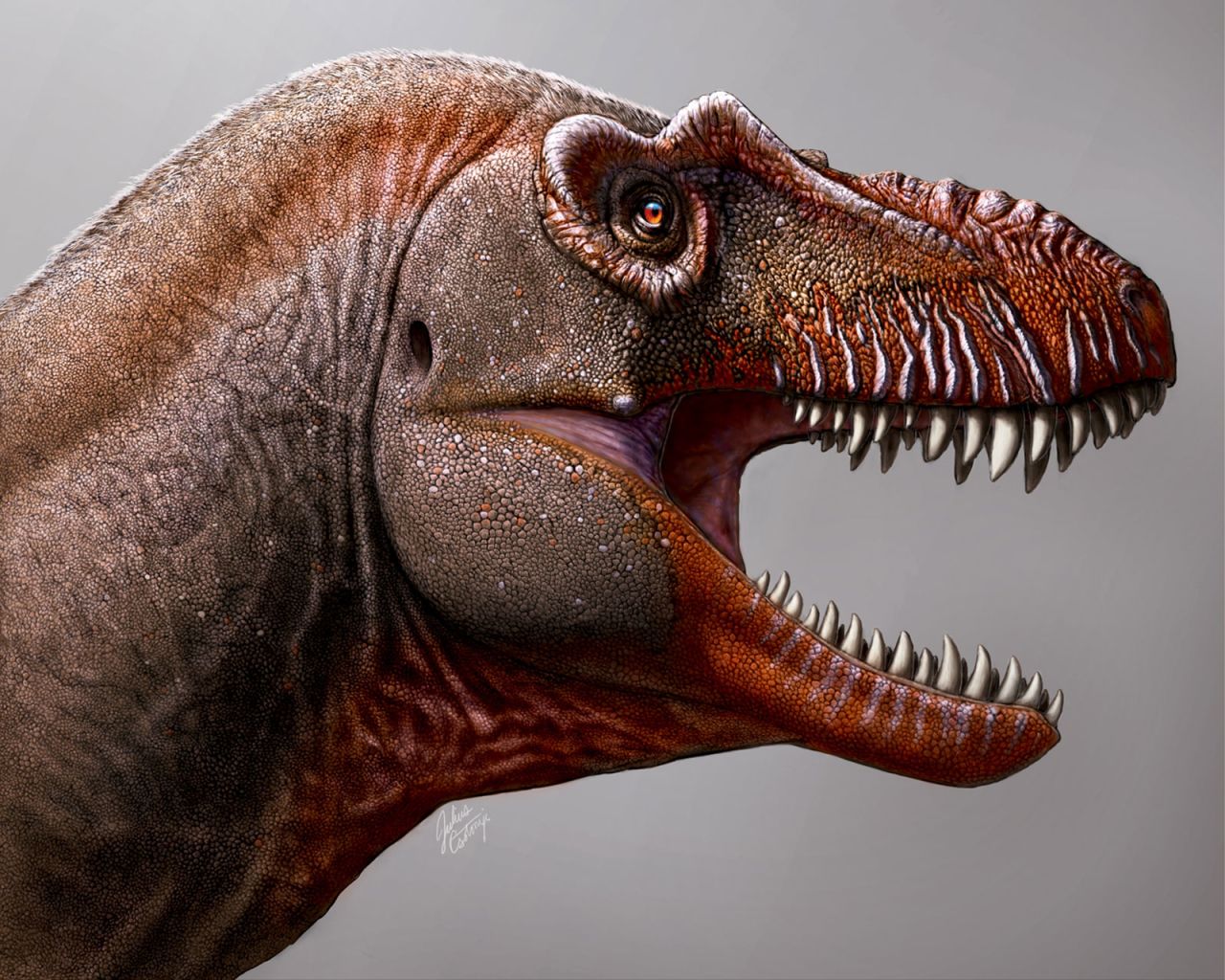 This artist's illustration shows the newly discovered Tyrannosaurus rex relative, Thanatotheristes degrootorum.