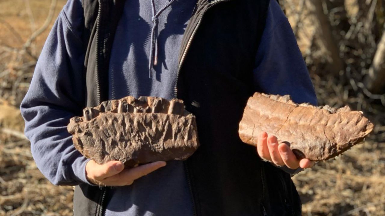 John De Groot holds the fossil he discovered.