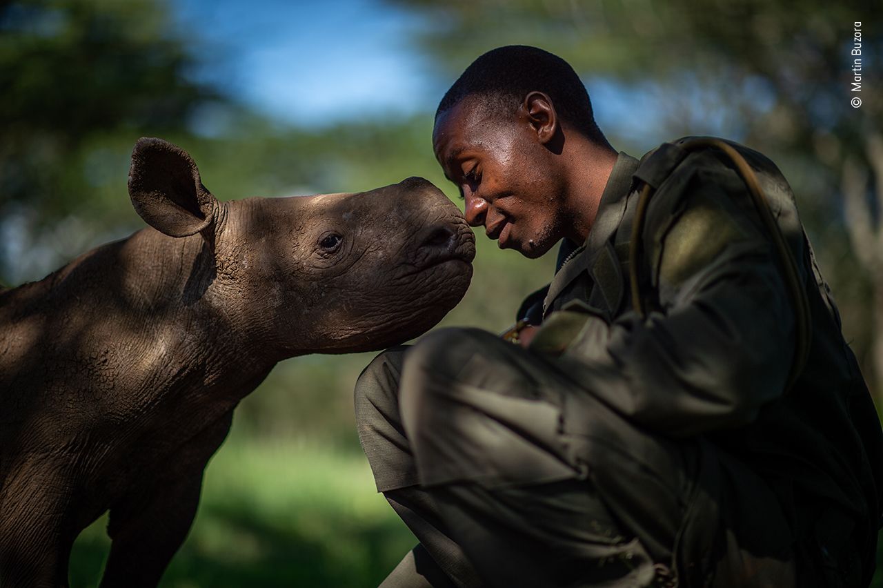 This shot of a ranger and a young rhino in Kenya was also shortlisted.