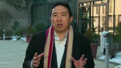 andrew yang nr interview