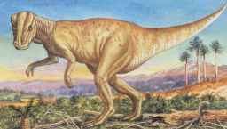 An illustration of a type of hadrosaur.  