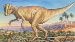 Illustration of a healthy hadrosaur.