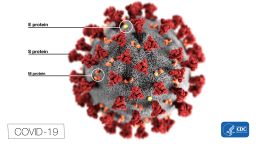This illustration, created at the Centers for Disease Control and Prevention (CDC), reveals ultrastructural morphology exhibited by coronaviruses. Note the spikes that adorn the outer surface of the virus, which impart the look of a corona surrounding the virion, when viewed electron microscopically. In this view, the protein particles E, S, and M, also located on the outer surface of the particle, have all been labeled as well. A novel coronavirus, named Severe Acute Respiratory Syndrome coronavirus 2 (SARS-CoV-2), was identified as the cause of an outbreak of respiratory illness first detected in Wuhan, China in 2019. The illness caused by this virus has been named coronavirus disease 2019 (COVID-19).