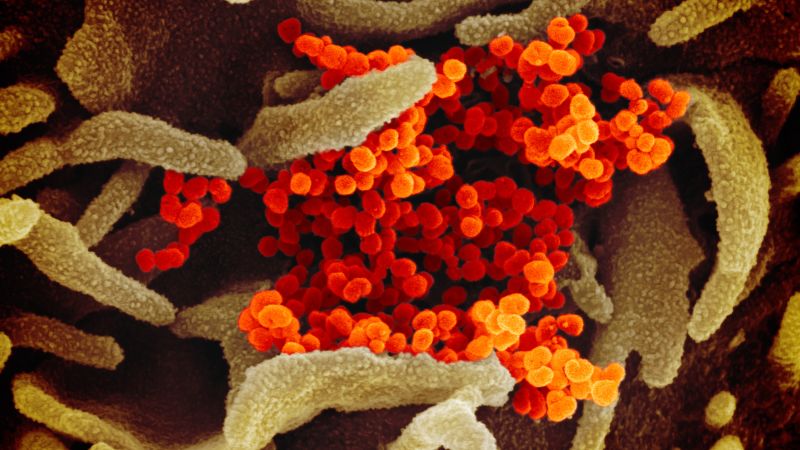 CDC has confirmed 35 cases of novel coronavirus in the US | CNN