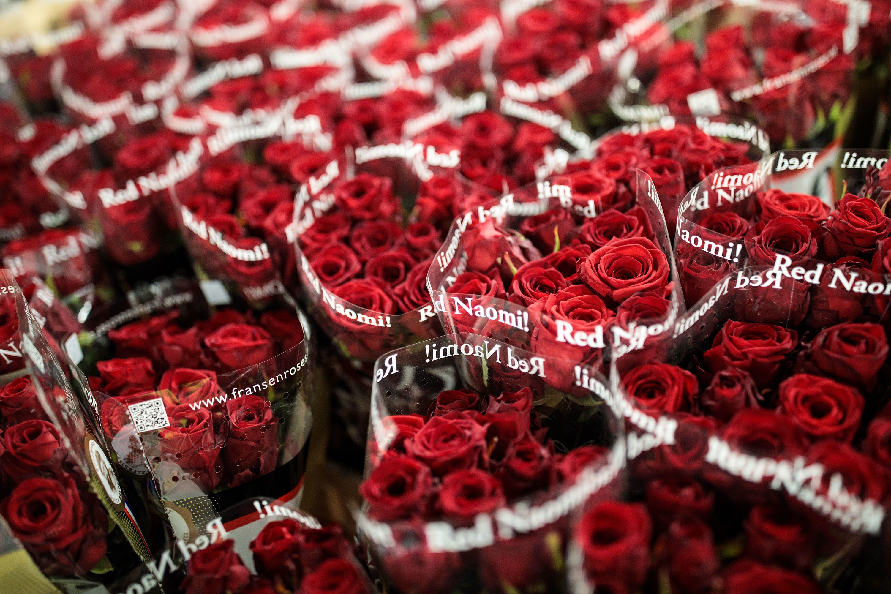 What happens to the Valentine's Day flowers that don't get sold? | CNN  Business