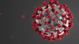 coronavirus cambian criterios para contabilizarlo pkg antonanzas_00020006.jpg