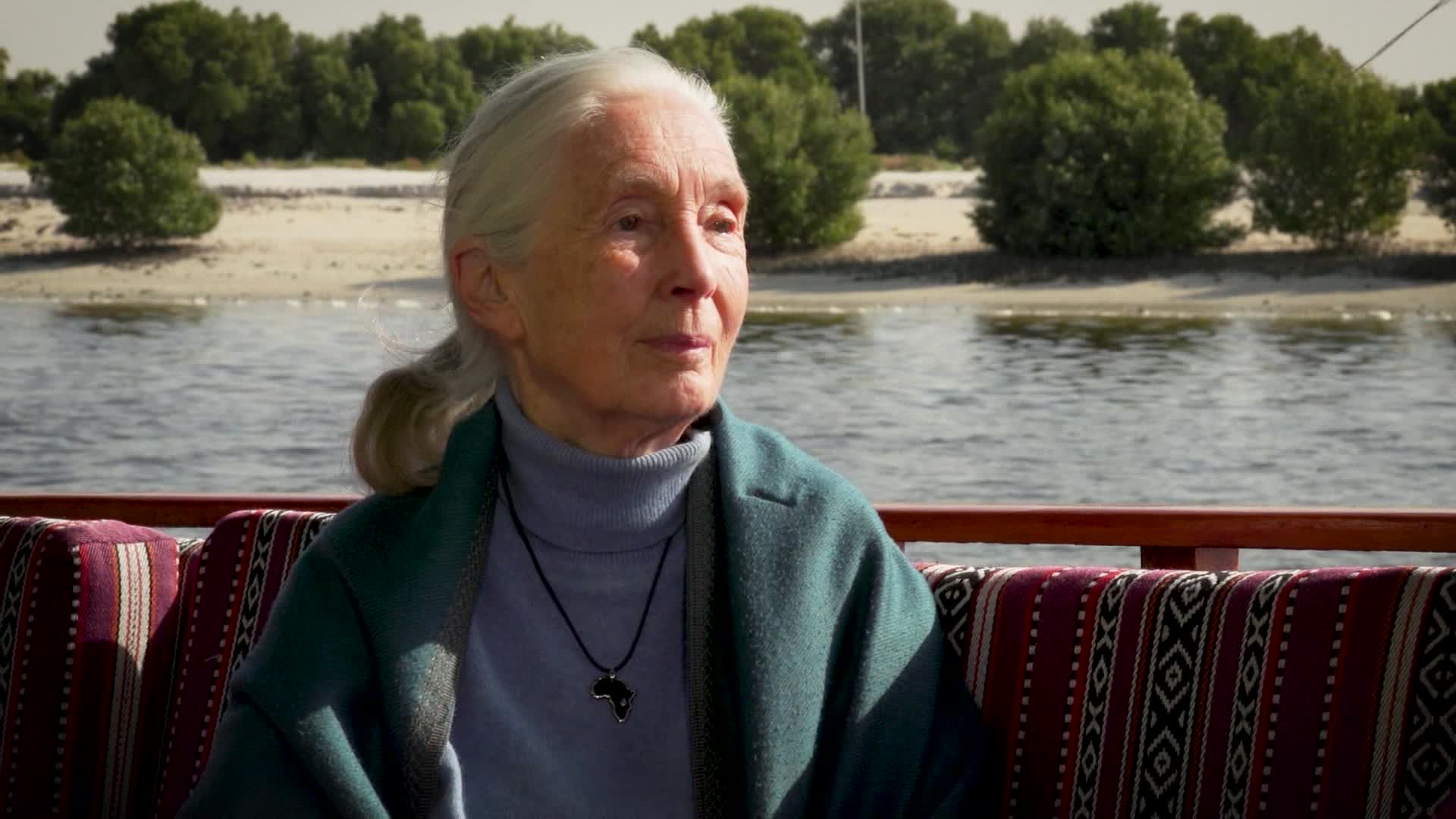 Goodall: 'Window is closing' to reverse climate change