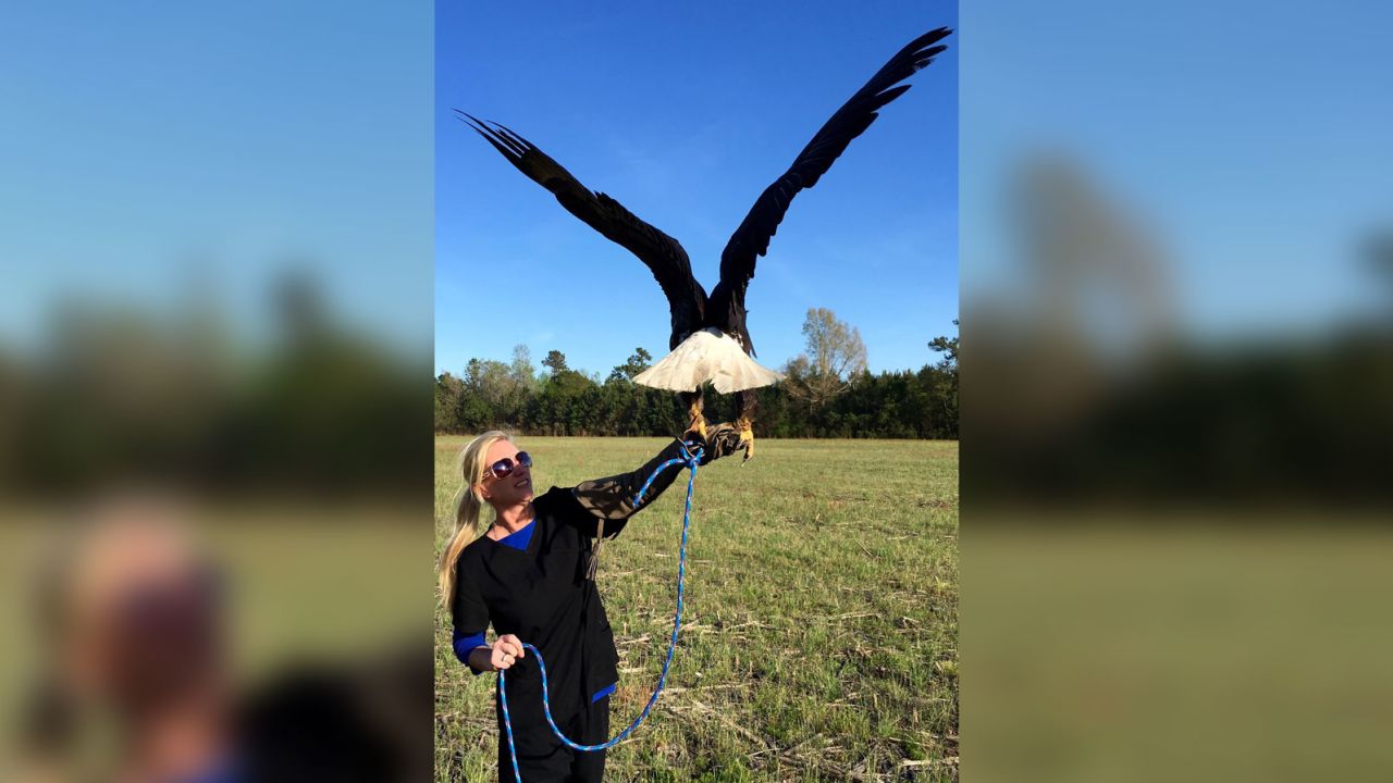 Dr. Joni Shimp, executive director of Cape Fear Raptor Center, poses with a bald eagle.