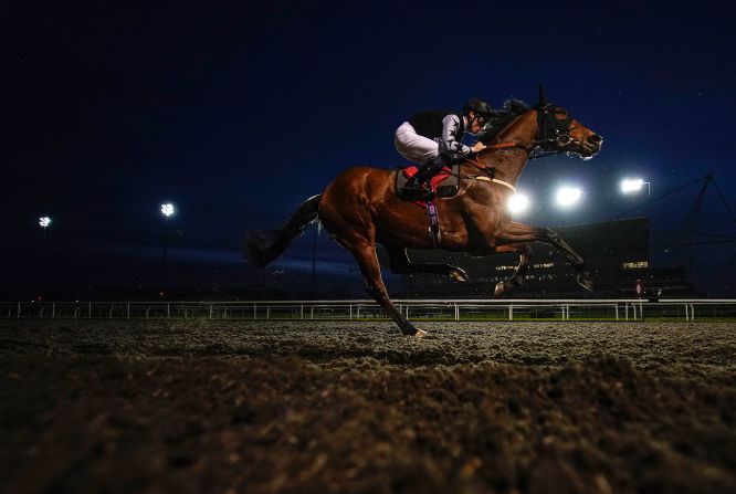 Handsome Samson and jockey Kieran Shoemark compete at The 32Red On The App Store Novice Stakes at Kempton Park Racecourse on February 12, in Sunbury, England.