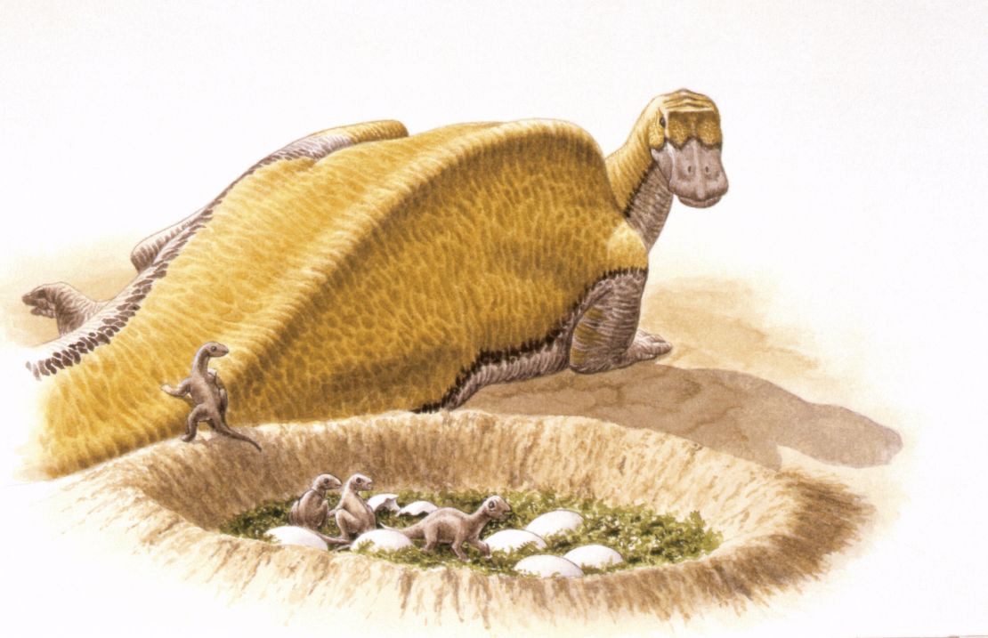Illustration of Maiasaura newborns in nest  