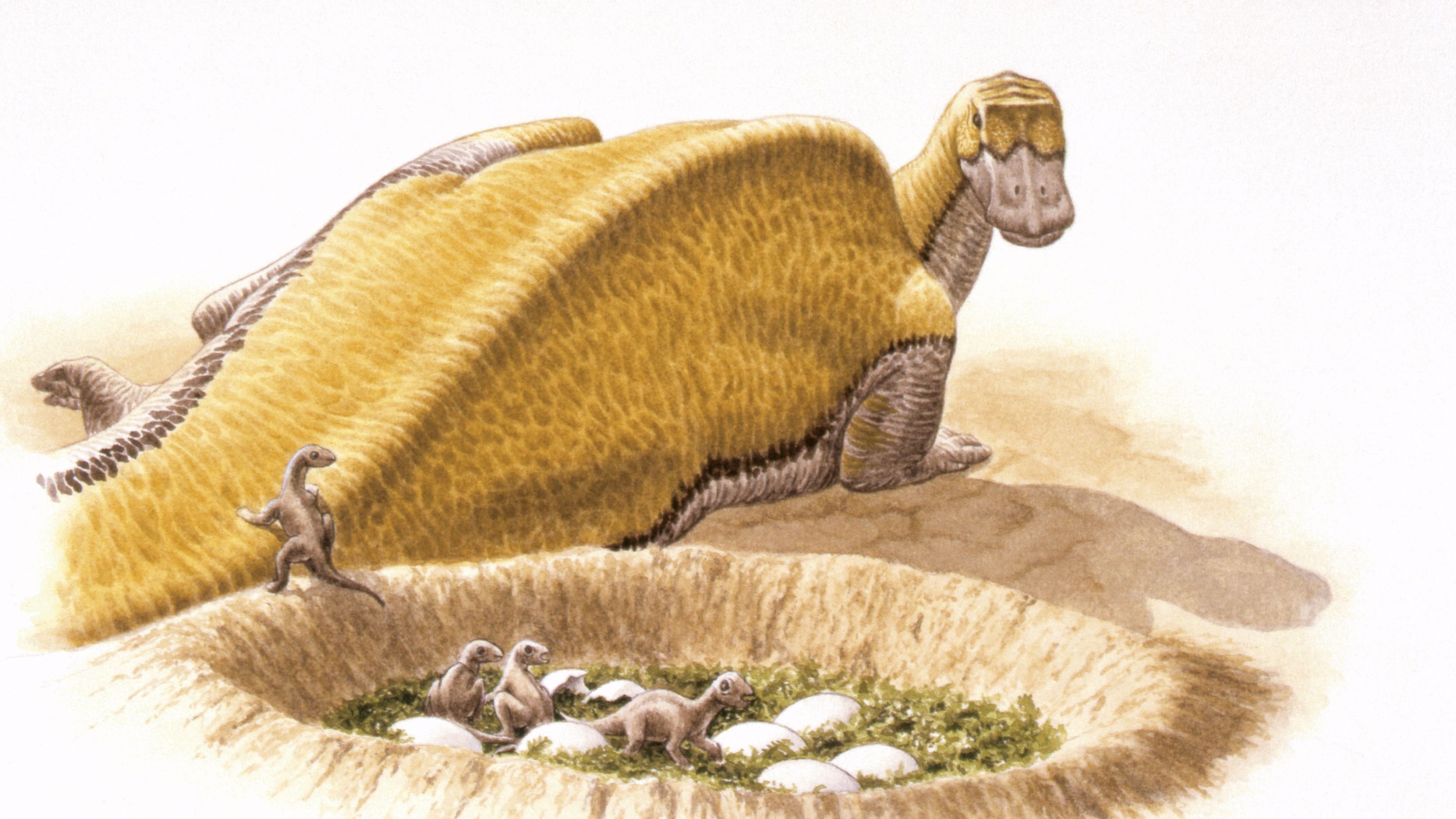 Illustration of Maiasaura newborns in nest  