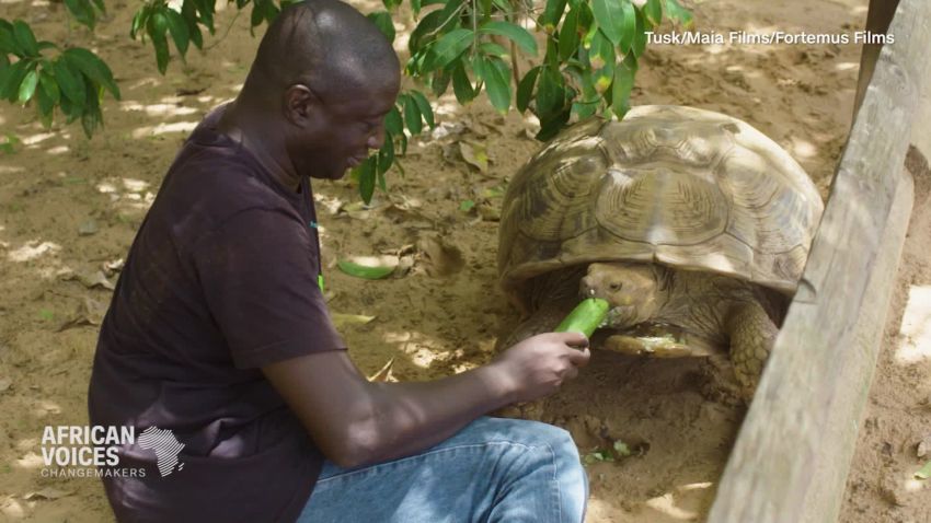Tomas Diagne saves endangered turtles Senegal_00001115.jpg