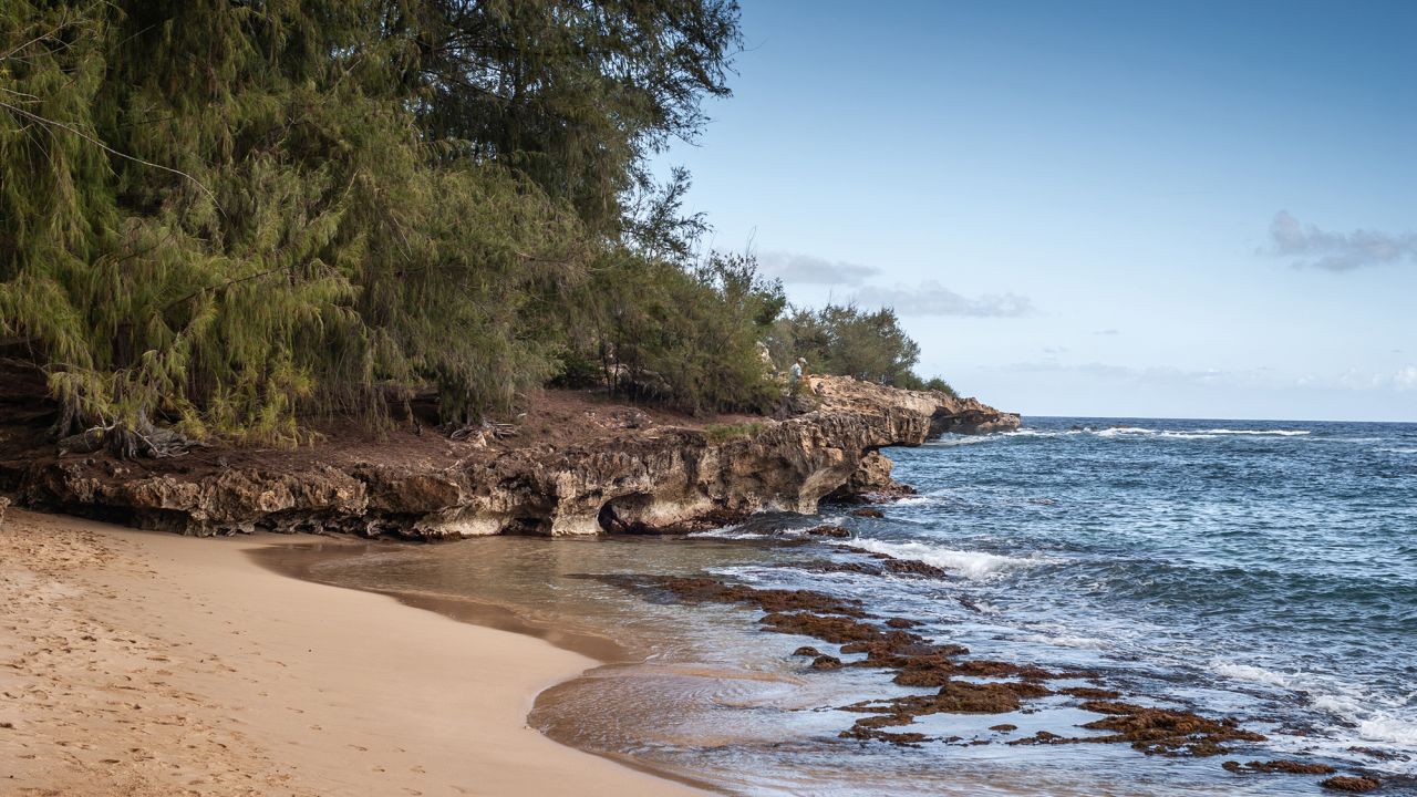 Kauai, Hawaii, USA. - January 11, 2012: Beige brown sand leads to brown rocky cliffs grown on top by green trees under blue sky, bordering blue ocean water. Hidden fisherman.
