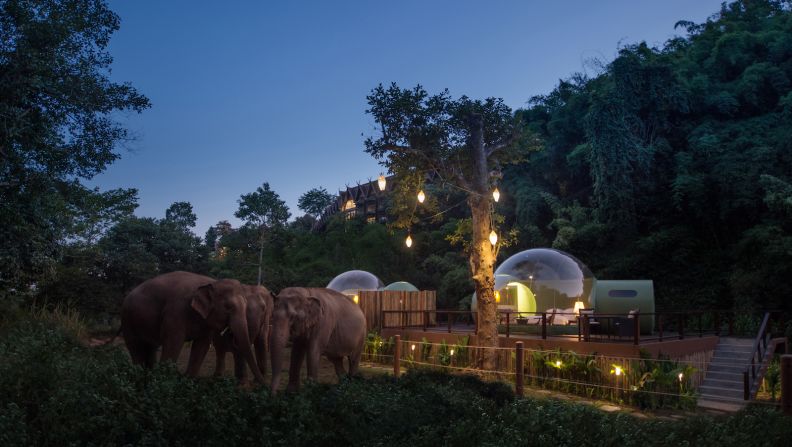 <strong>Jungle Bubbles: </strong>The Anantara Golden Triangle Elephant Camp and Resort's new transparent "Jungle Bubbles" allow guests to spend the night next to rescued elephants.      