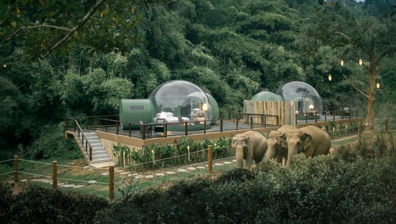 <strong>Strategic feeding: </strong>The bubbles sit just a few meters from an elephant enclosure. The animals' food is placed near the bubbles to ensure guests get a good view. 