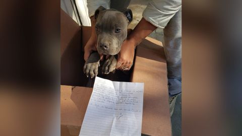 A boy left his dog outside a shelter with a note that said it was to  protect it from his abusive father | CNN