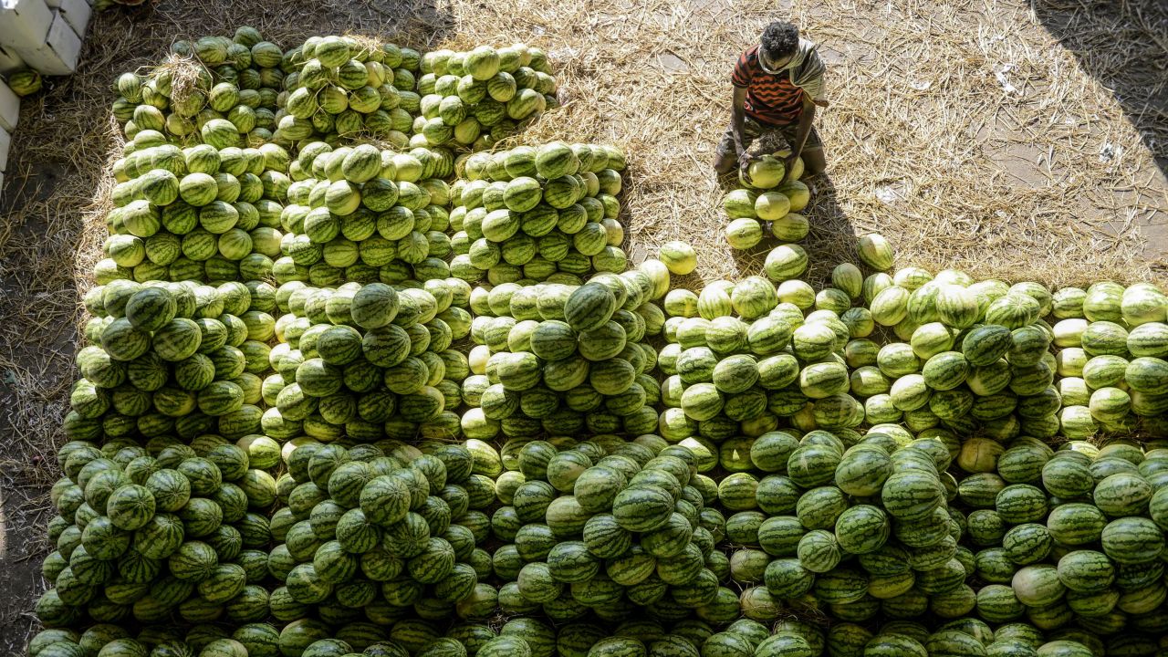 <strong>Hyderabad, India: </strong>A laborer stacks watermelons ahead of an auction at Gaddiannaram wholesale fruit market. 
