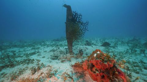 A propeller from one of the aircraft is now covered with coral in Micronesia's Chuuk State.