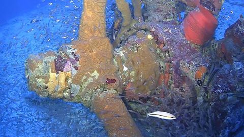 A propeller was found on the sea floor in Micronesia's Chuuk State, formerly Truk Lagoon.