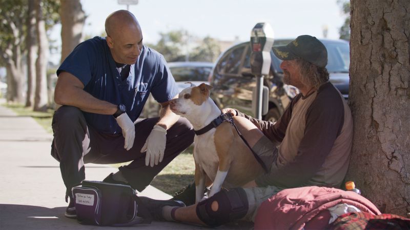 Meet The Veterinarian Walking Around The Streets Of California And   200224193917 01 Veterinarian Homeless Animals California Trnd 