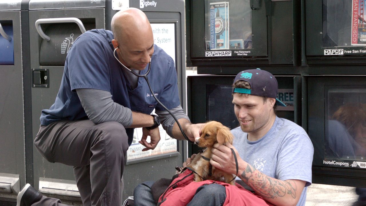 Stewart treating a man's dog.