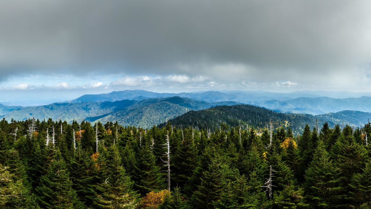 <strong>3. Great Smoky Mountains National Park:</strong> The park straddles the border between North Carolina and Tennessee.