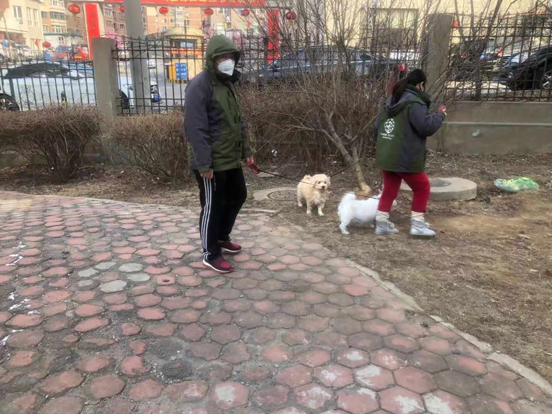 Members of Vshine, one of HSI's partner groups in China, walk two pet dogs that were left behind during the Wuhan coronavirus outbreak.