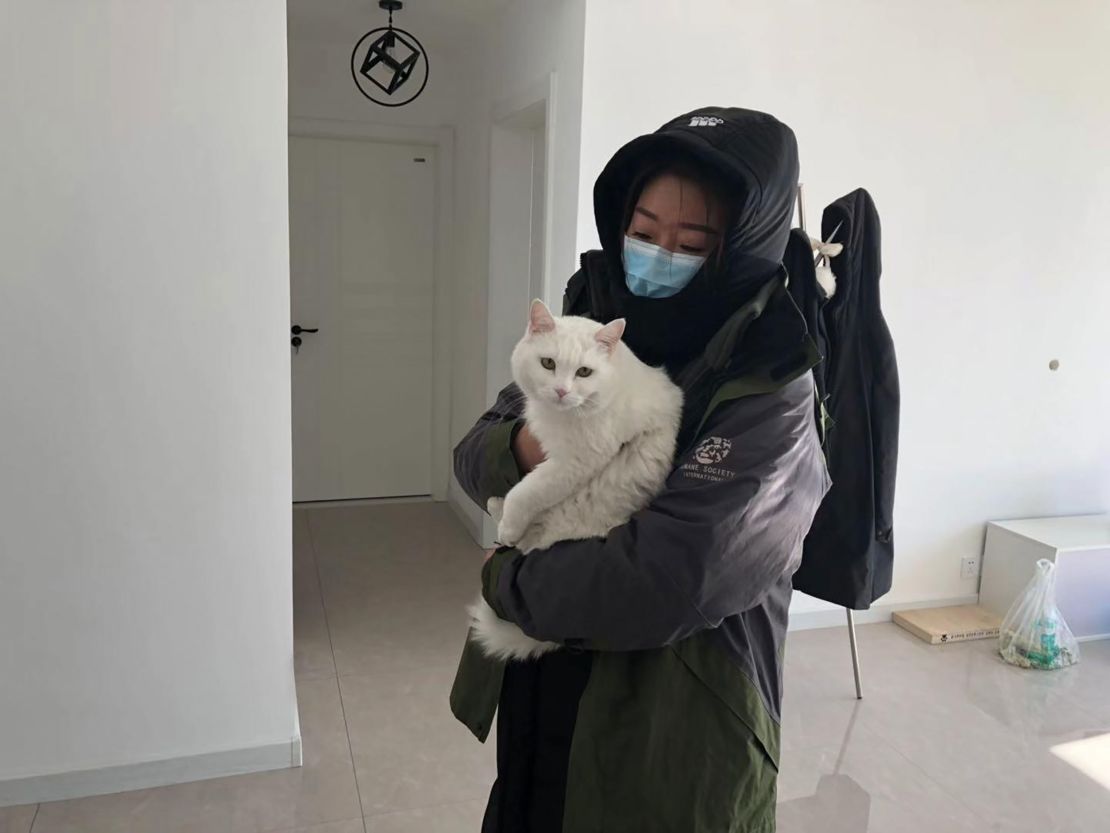 A member of Vshine, one of HSI's partner groups in China, tends to a pet cat that was left behind during the Wuhan coronavirus outbreak.