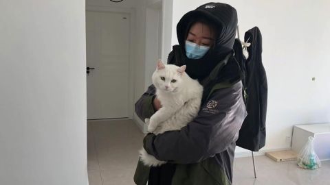 A member of Vshine, one of HSI's partner groups in China, tends to a pet cat that was left behind during the Wuhan coronavirus outbreak.