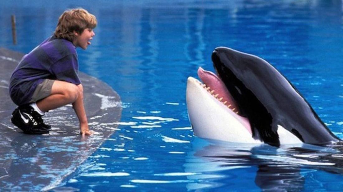 <strong>"Free Willy"</strong>: A young boy risks everything when he learns that a beloved killer whale is to be killed by the aquarium owners. <strong>(Hulu) </strong>