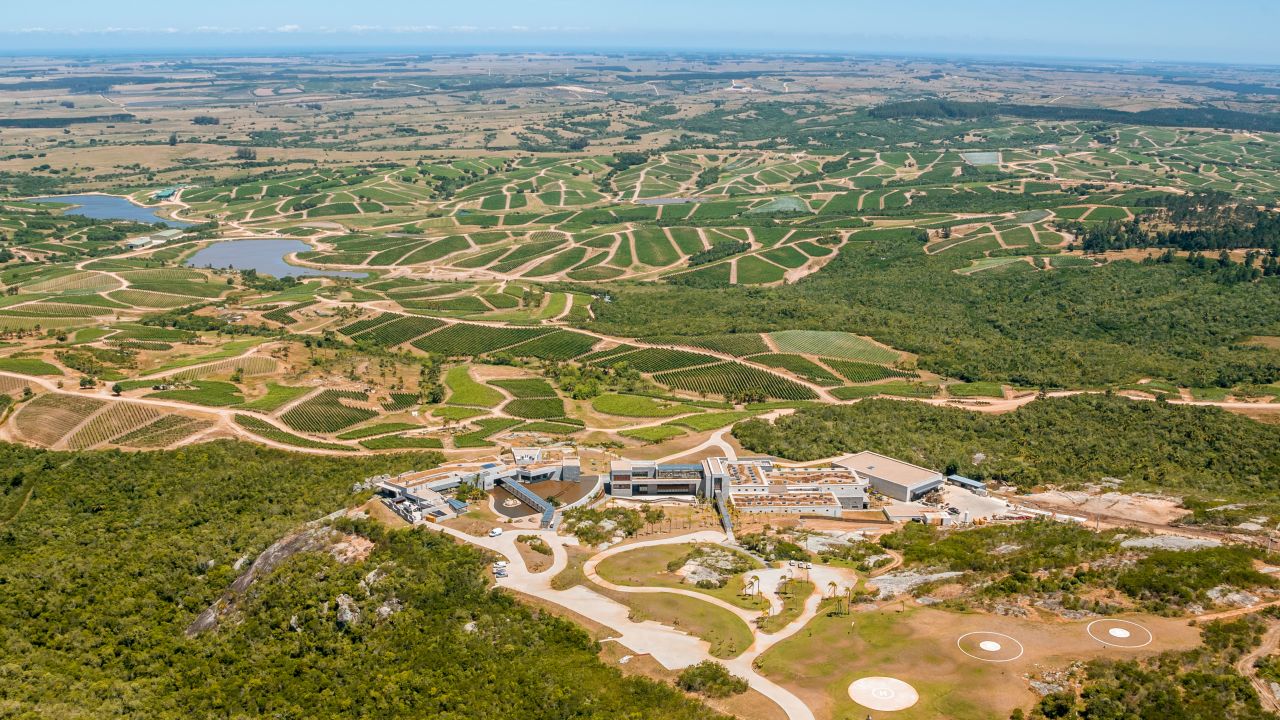 <strong>Cool ocean breezes. </strong>The wines produced at Garzón are influenced by the cool breezes of the Atlantic Ocean, which is just 11 miles (18km) away.