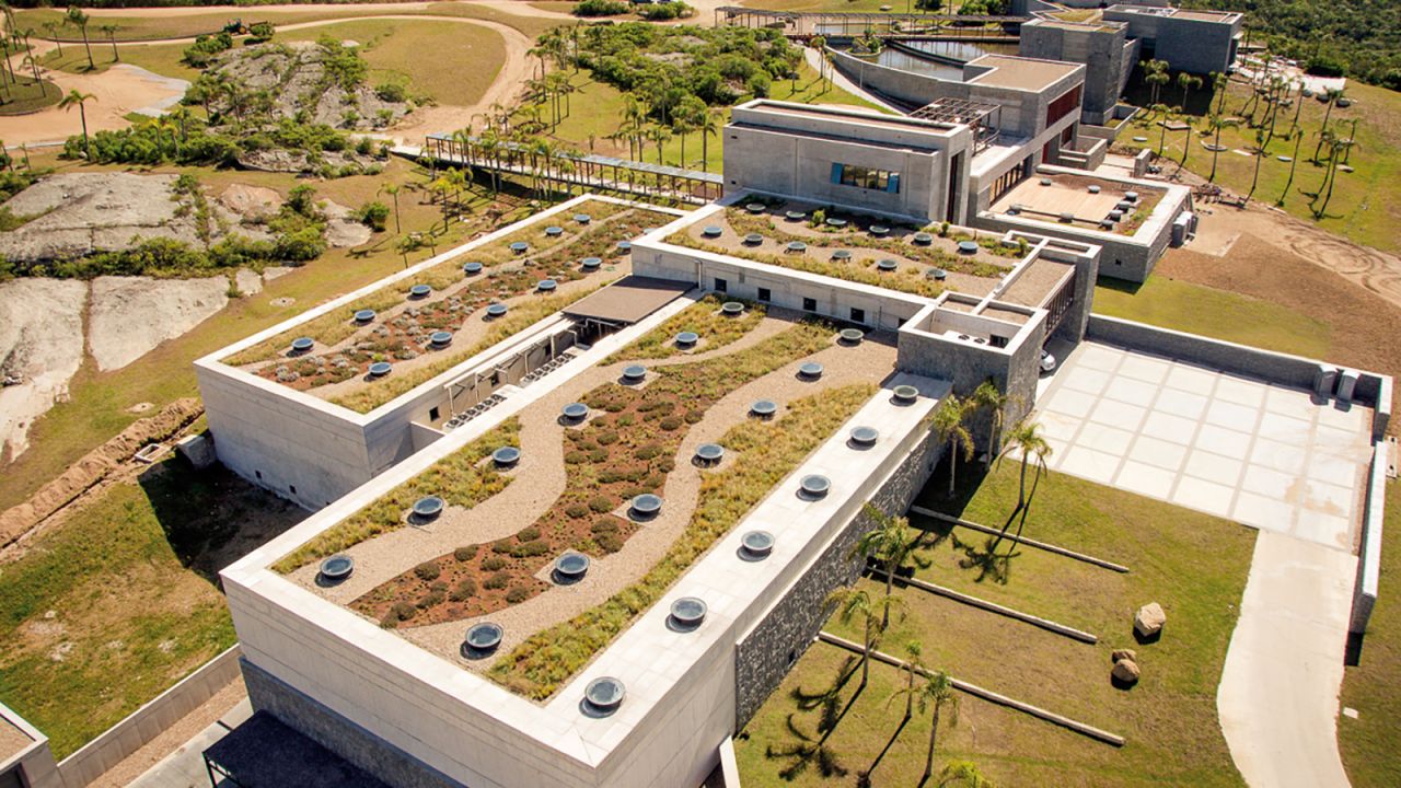<strong>Natural light. </strong>Sustainable features of the winery include porthole windows that let in natural light and a large green roof with native species.