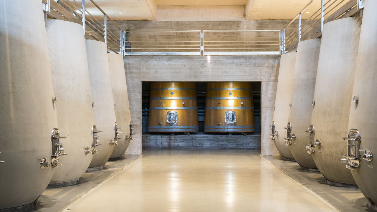 Many grapes make their way into concrete "eggs" and large format oak barrels to ferment.
