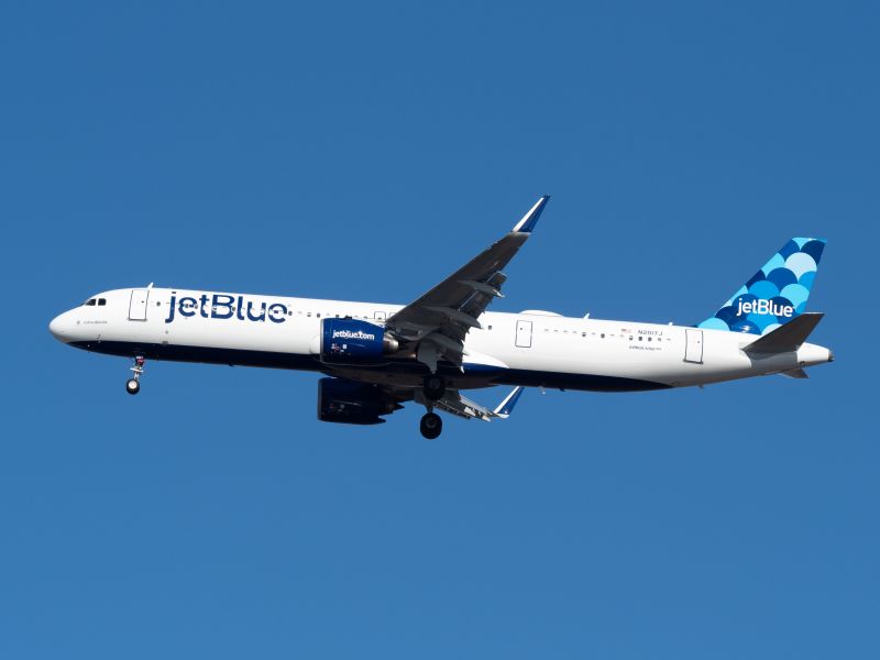 Jetblue airways shop pet policy