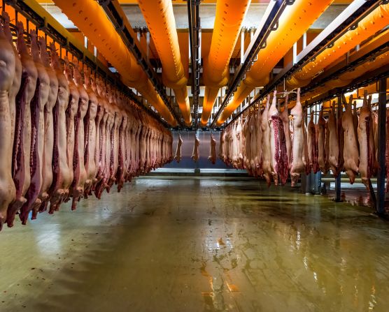 An image from Horsens Slaughterhouse in Denmark has proven particularly controversial, Wiper said.