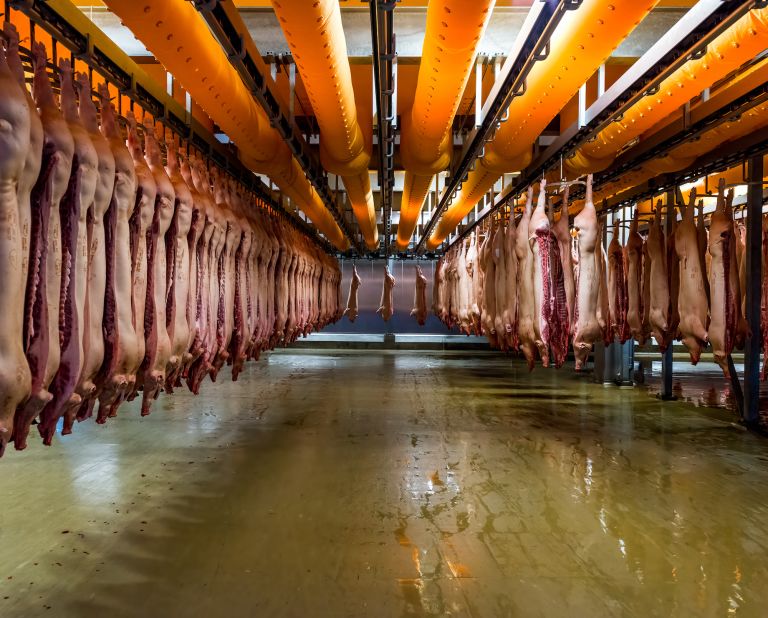 An image from Horsens Slaughterhouse in Denmark has proven particularly controversial, Wiper said.
