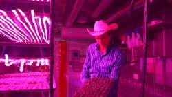 kimbal musk square roots 3