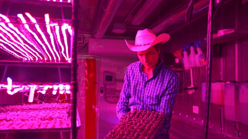 kimbal musk square roots 3