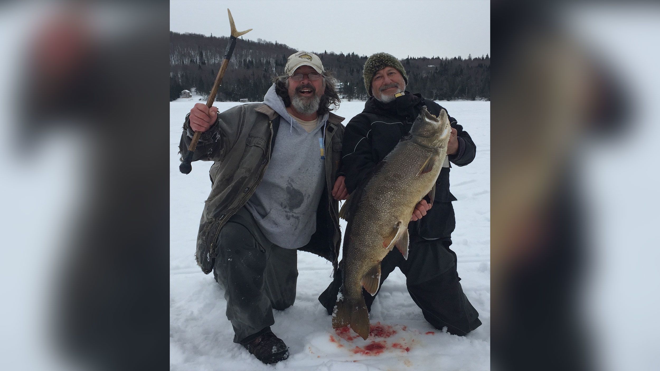 Fisherman breaks state record with monster 37-pound lake trout
