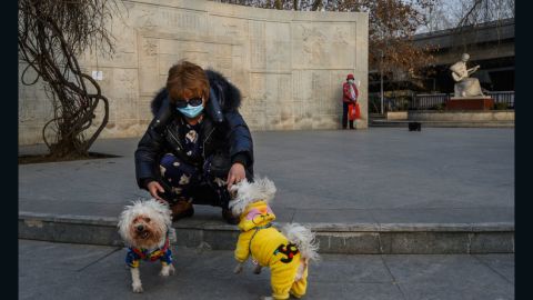 A Chinese woman wears a protective mask as she plays with her dogs at a park on February 25, 2020 in Beijing, China. 
