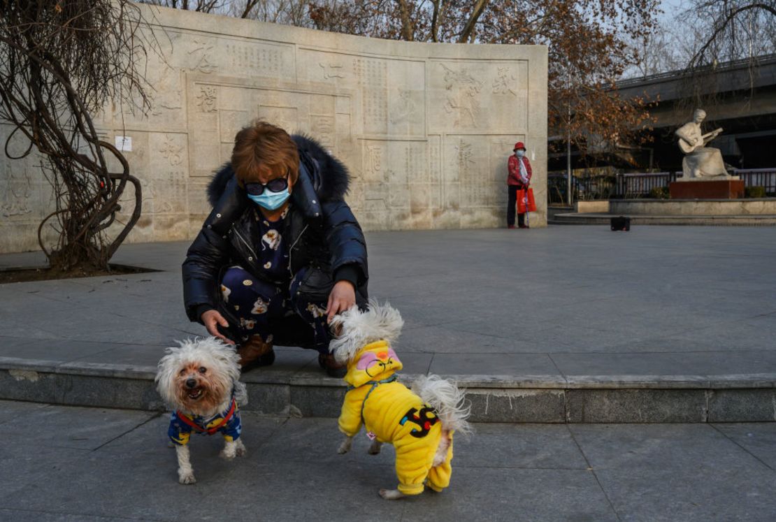 A Chinese woman wears a protective mask as she plays with her dogs at a park on February 25, 2020 in Beijing, China. 