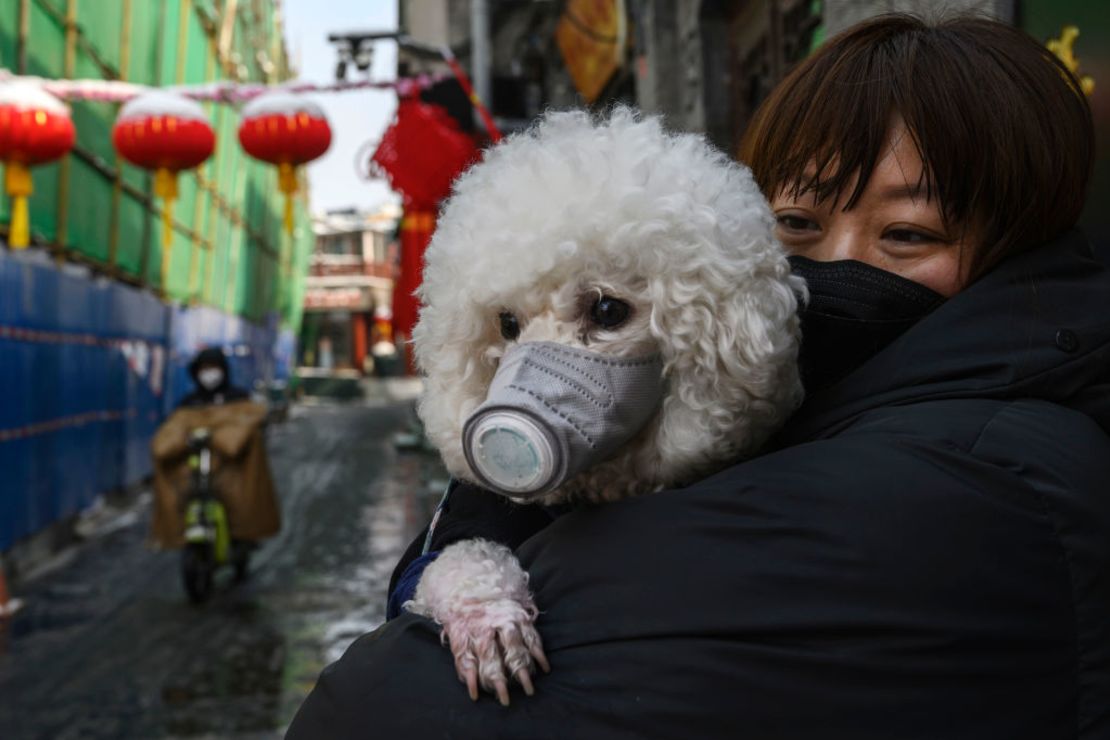 A Chinese woman holds her dog on a Beijing street on February 7, 2020.
