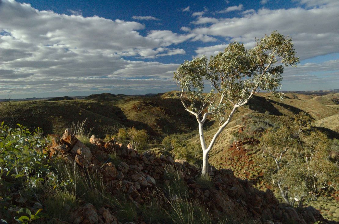 A vista of Panorama can be seen today, resembling nothing like the ancient ocean it once hosted.