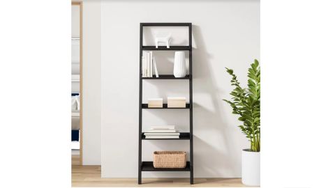 Wayfair Ashlee Leaning Ladder Bookcase