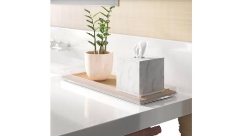 Wayfair Connor Tank Top Bathroom Accessory Tray