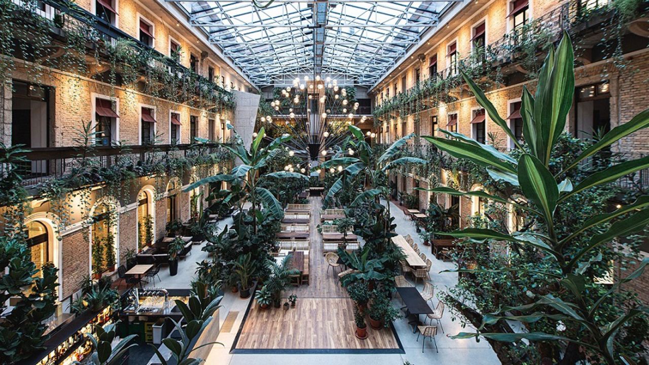 Surrounded by around 34 types of plants, Twentysix Budapest is described as an urban jungle.